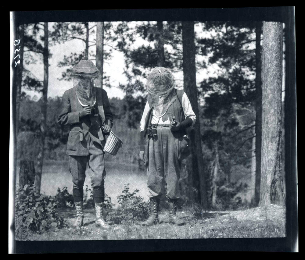 Bee keepers -- from Exploring Minnesota's Natural History