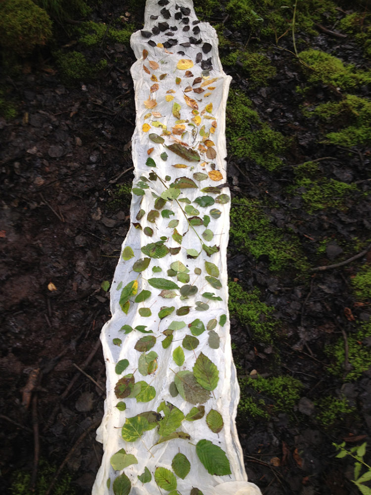 Photo of fiber art by Moira Bateman