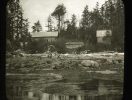 “Class working on the rocks near the Minnesota Seaside Station buildings at low tide.”