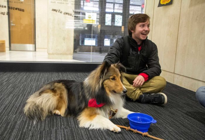 dog-with-student