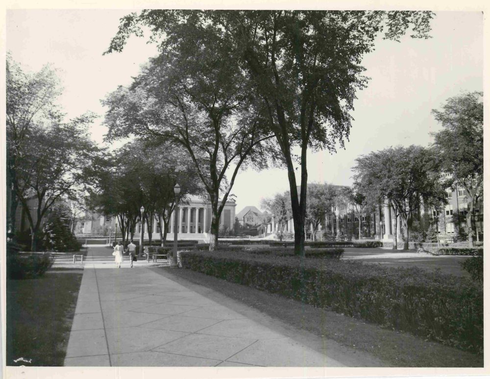 (Relatively quiet) Northrop Mall, 1948.