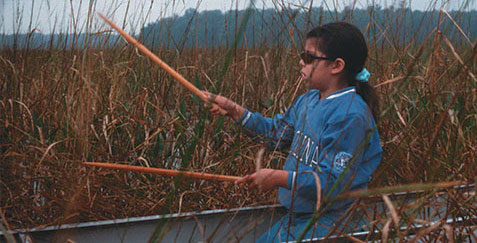 Girl in canoe harvesting wild rice