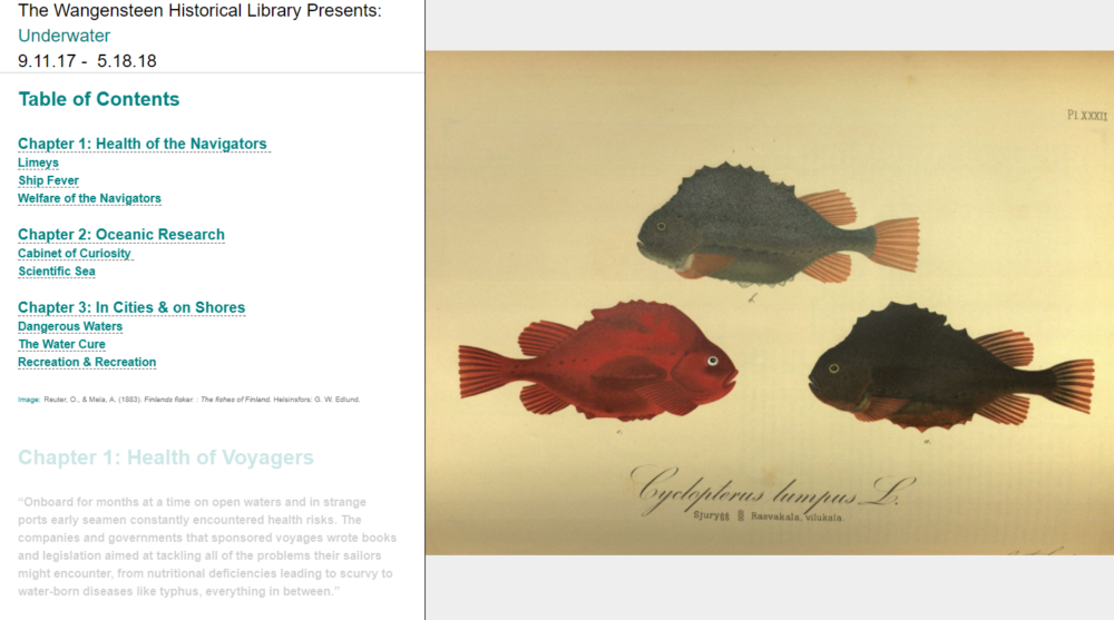 Underwater Online Exhibit
