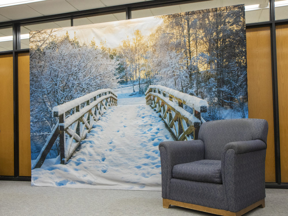 Nature Heals display in Wilson Library