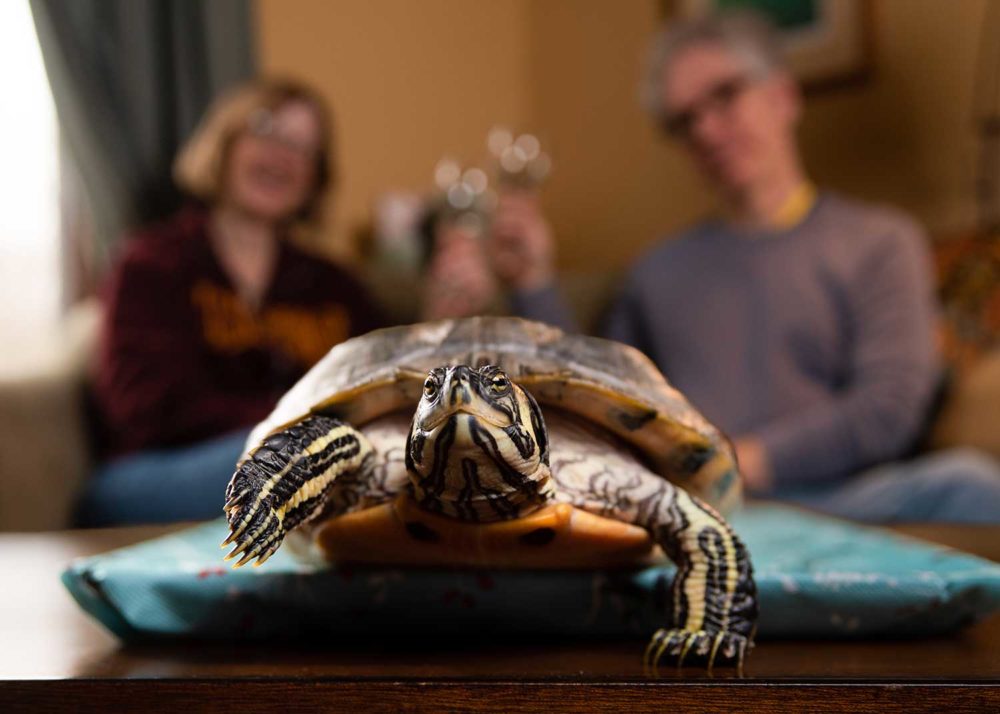 Leonard the turtle with Jan and Carl