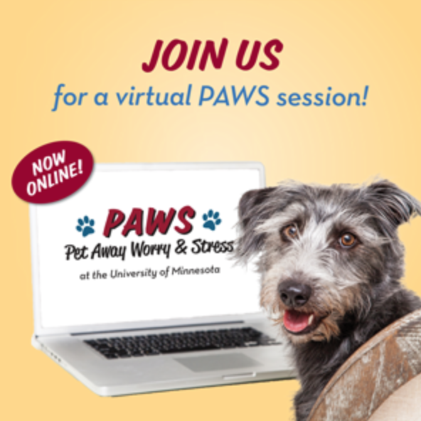 Virtual PAWS poster