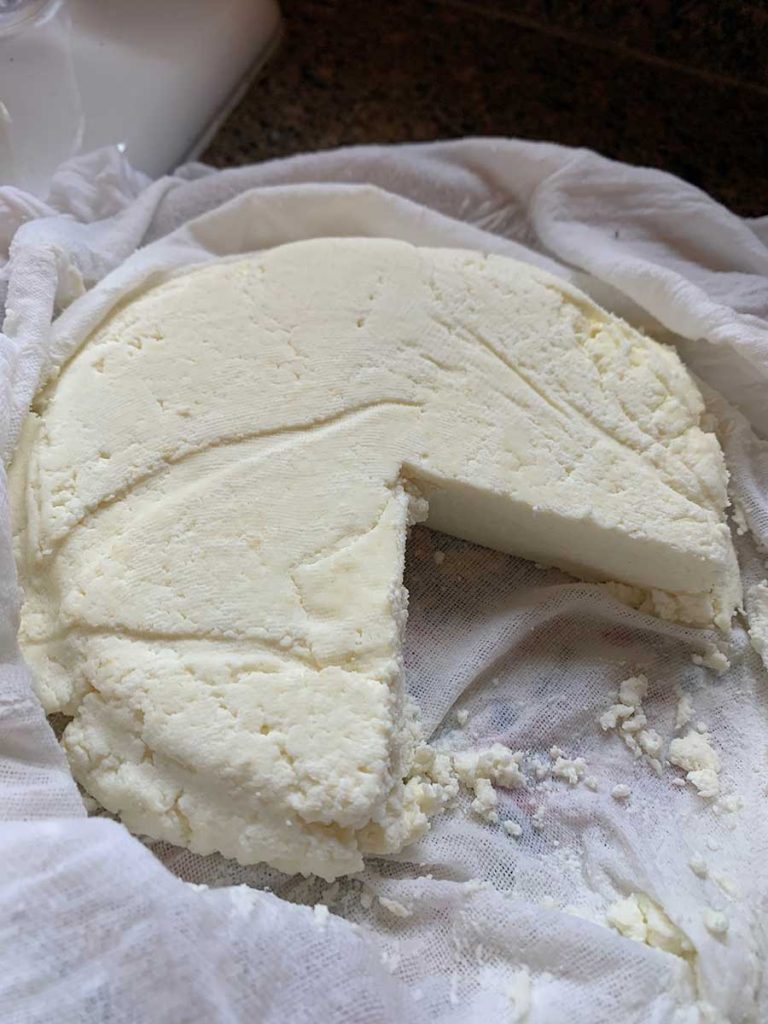 Cheese