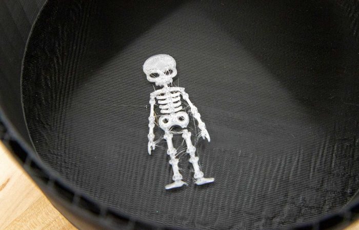 A skeleton printed in the Health Sciences Library Makerspace.