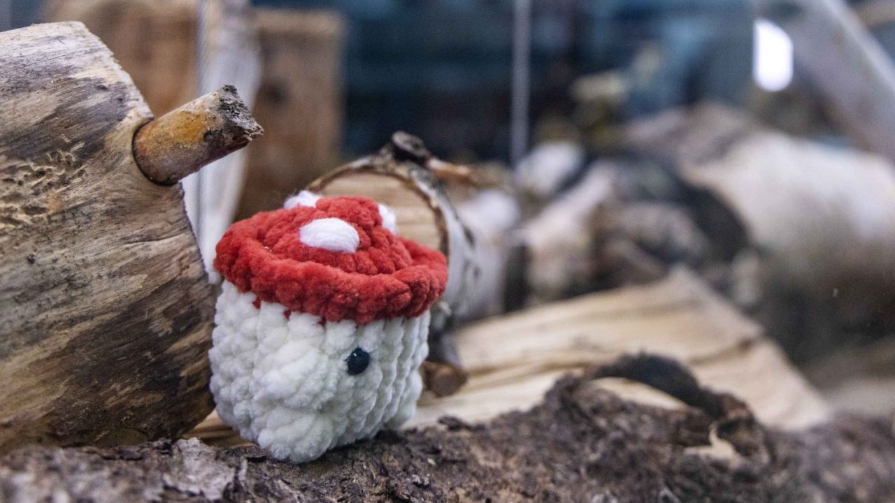 230921_awc_WHL exhibit_006 copy A crochet mushroom in the Mycophobia/Mycophilia exhibit.