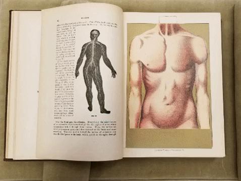 GIF of photos taken from The Household Physician, published in 1918