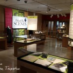 Behind the Scenes exhibit