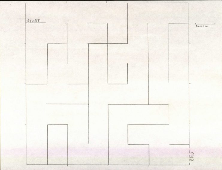 Maze