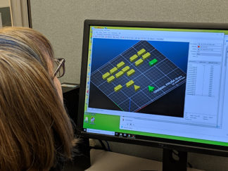 Photo of Michelle Henry-Stanley designing gene segment models