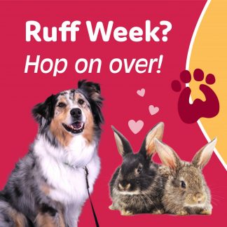 PAWS ad