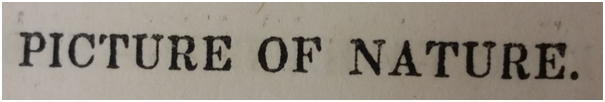 PrimarySourcesDigitalGeneration_
