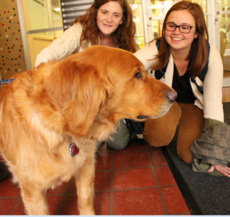 Pet therapy