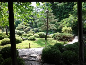 Scenic view of the Minnesota Landscape Arboretum.