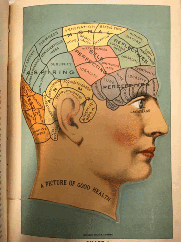GIF of skull photos taken from A Picture of Good Health (1909)