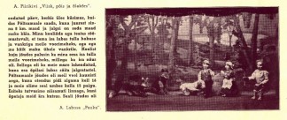 Image reproduced from a program for the Eesti Draamateater: Nukuteater, printed circa 1941 in Tallinn, Estonia. There is a block of Estonian text and a picture of a puppet production. The picture features several puppets, both human and animal, in front of a wooded backdrop.
