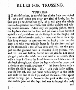 Turkey trussing article