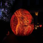 A Jack-O-Lantern of a rabbit. Courtesy of Justin Boeser (@justingregoryyy)