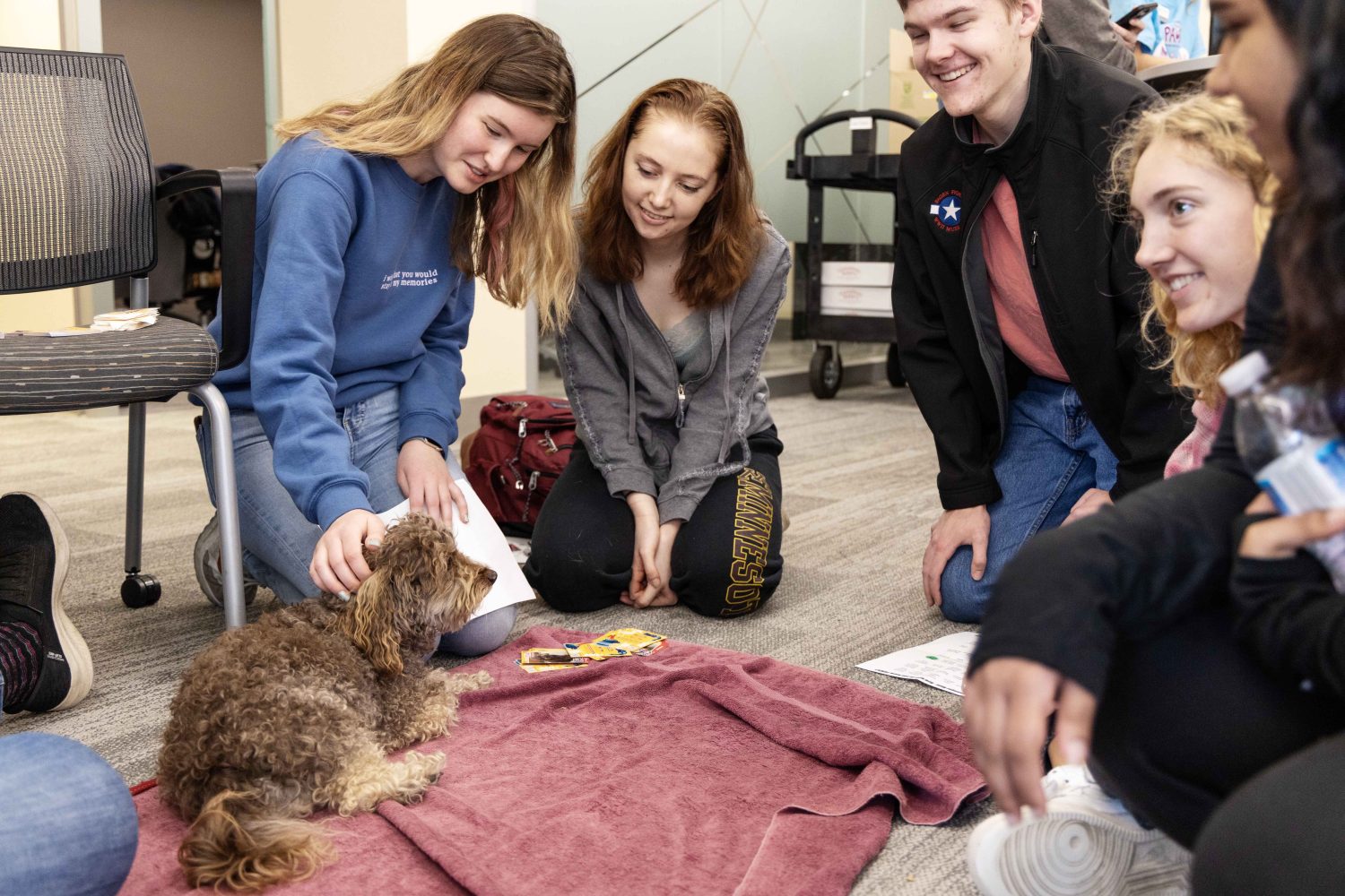 Ziva draws a crowd at the PAWS 10th anniversary at Wilson Library on Thursday, Nov. 16, 2023. Ziva has been with PAWS since 2015. (Photo/Adria Carpenter)