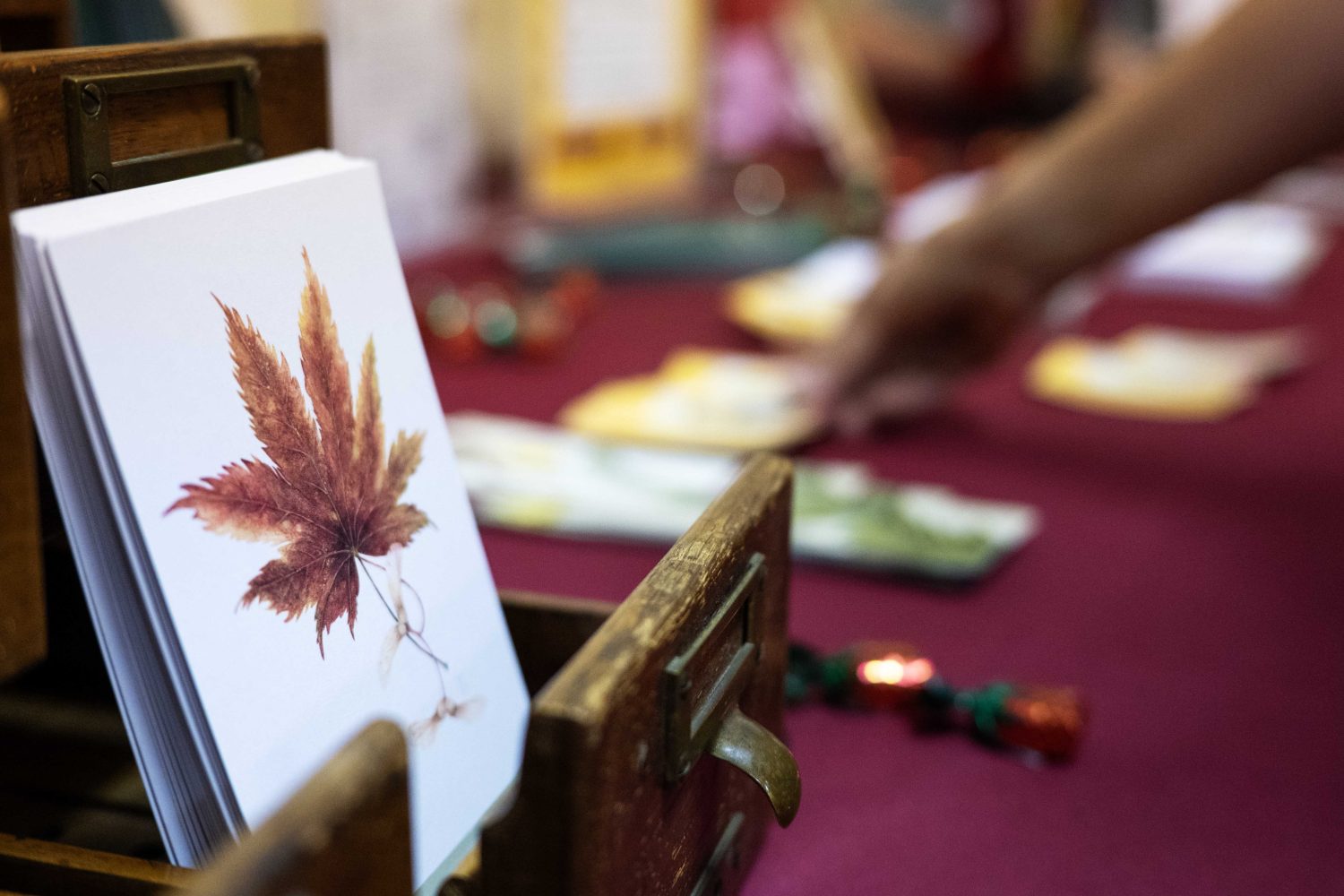 A leaf postcard at the Andersen Horticultural Library booth at the Minnesota State Fair on Thursday, August 29, 2024. (Photo/Adria Carpenter)