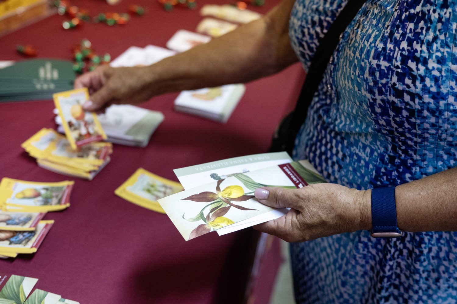 An attendee grabs a bookmark and postcard at the Andersen Horticultural Library's booth at the Minnesota State Fair on Thursday, August 29, 2024. (Photo/Adria Carpenter)