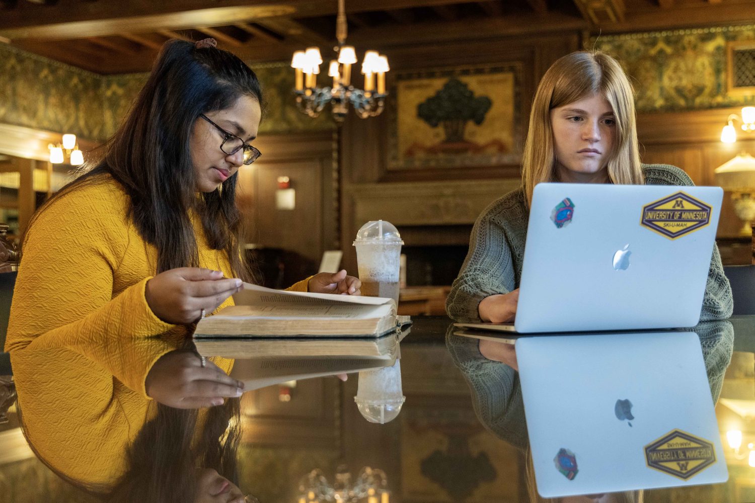 Two students studying in Walter Library