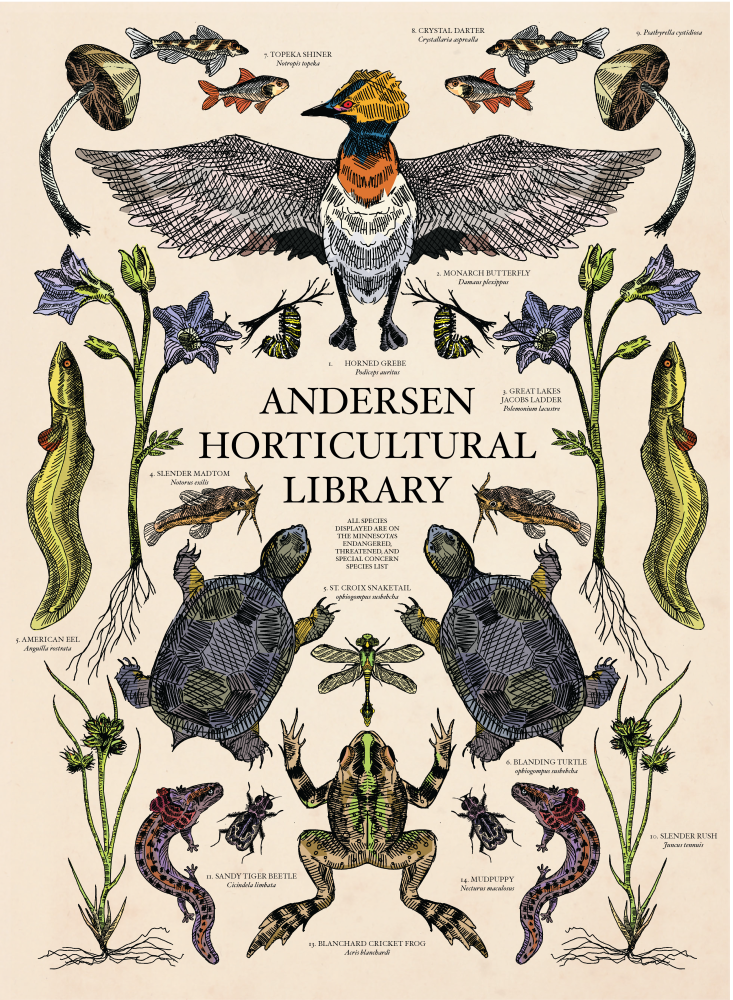 Decorative poster with illustrations of birds, fish, frogs, turtles, and more with text "Andersen Horticultural Library"